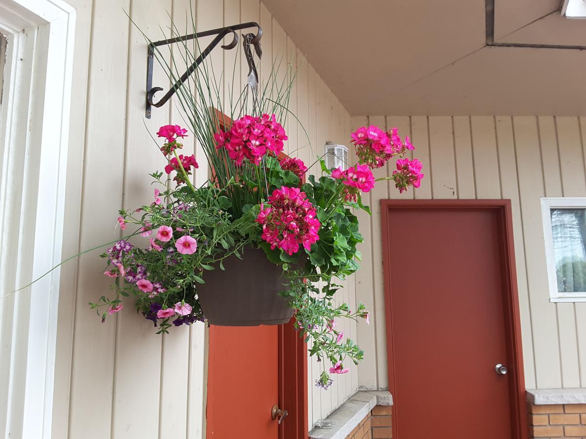 Pine Grove Motel スーセントマリー エクステリア 写真